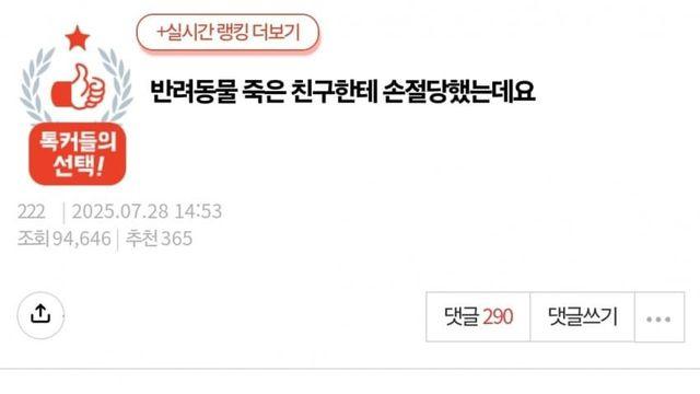 반려동물 죽은 친구한테 손절당했다는 판녀