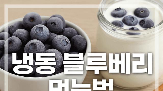 냉동 블루베리 먹는법 효과 좋게 먹는 10가지 이유