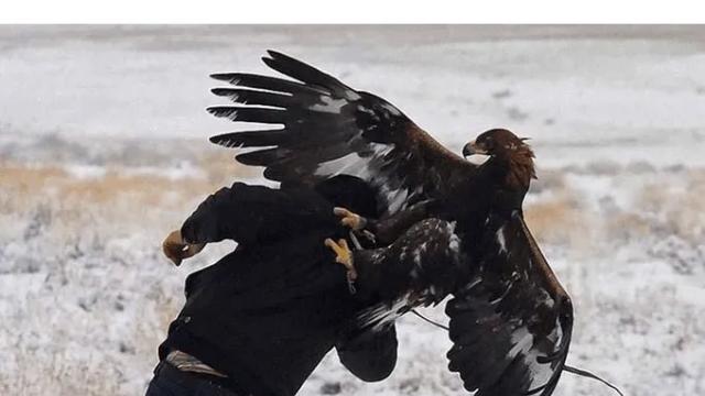 우당탕탕 내셔널 지오그래픽의 하루 