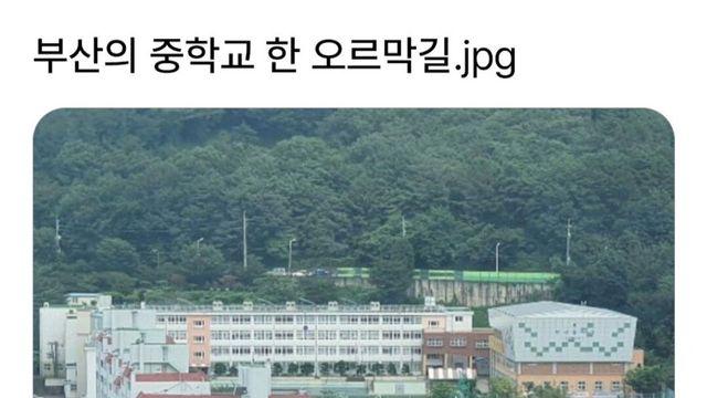 지옥을 보여주는 부산의 어느 중학교 오르막길
