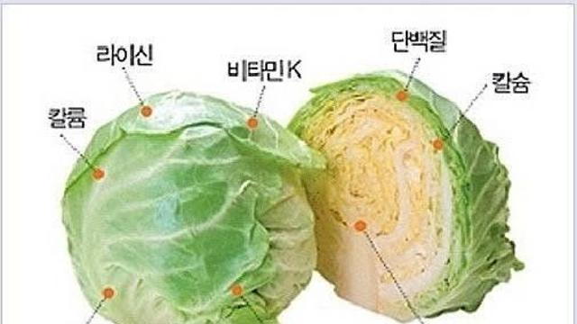 신이 주신 선물같은 식재료