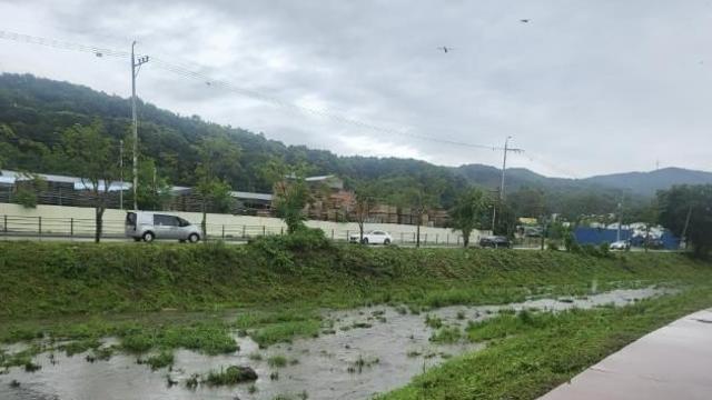 용인특례시, 신갈천·대대천 생태교란식물 제거