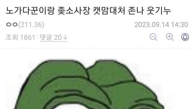 노가다꾼이랑 ㅈ소사장의 캣맘 대처법