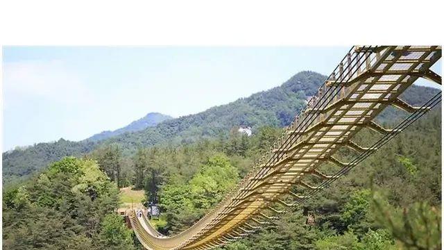 전국의 이름난 출렁다리.,,