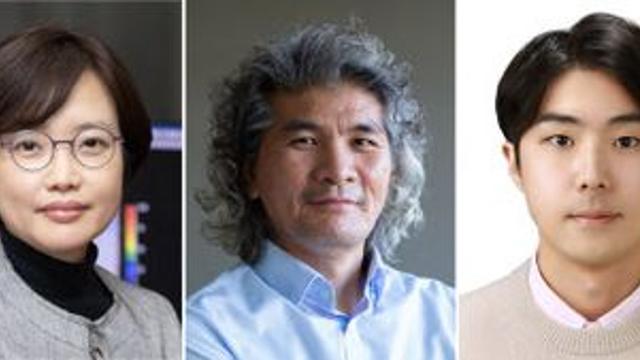 이화여대·IBS, 뇌 속 ‘별세포’로 PTSD 치료 가능성 발견