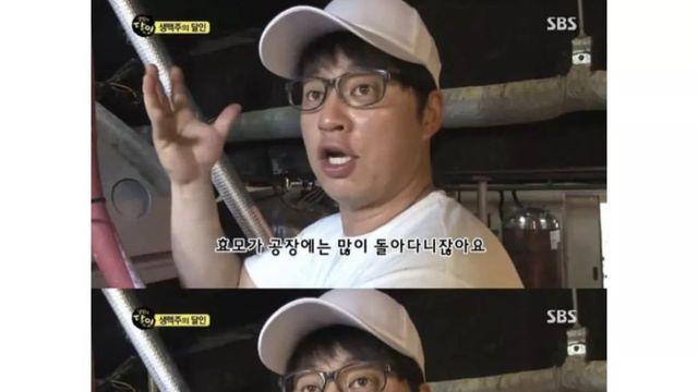 맥주공장 다니면 좋은점.jpg