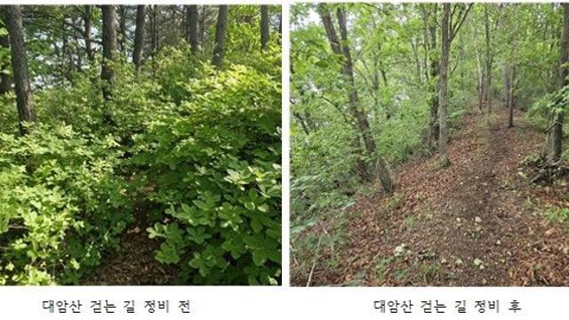 양구군, 대암산 걷는 길 정비…생태관광 활성화 박차