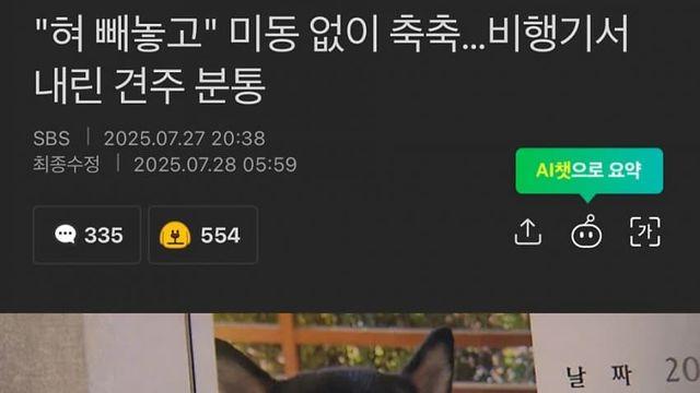 비행기 수화물칸에서 강아지 죽은거 반전…jpg