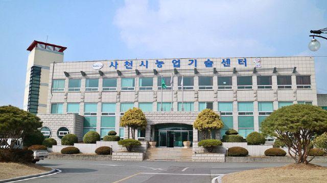 사천시, 보급종 씨감자 추기 공급 신청 접수