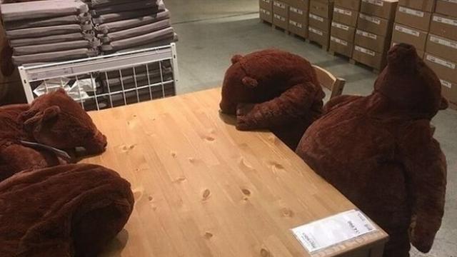 이케아의 곰 인형.
