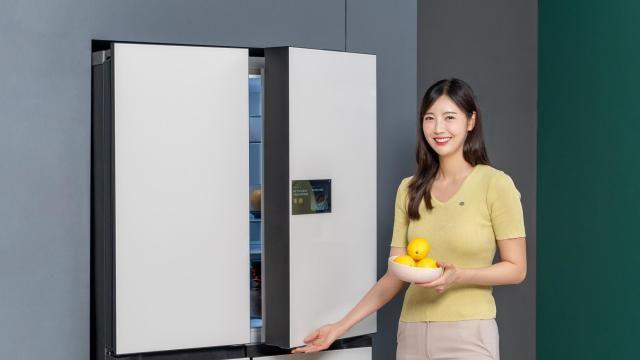 삼성전자 비스포크 AI 가전, '인간공학디자인상' 수상
