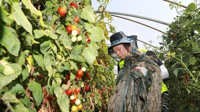 NH투자증권 '집중호우 피해 농가 일손돕기' 활동 실시