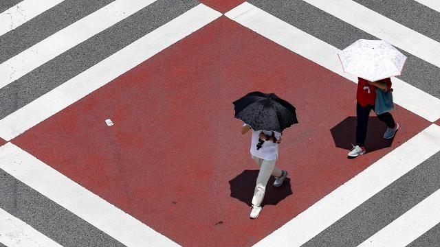 韩国热带夜或创历史新高 畜牧业与生态系统遭遇重创