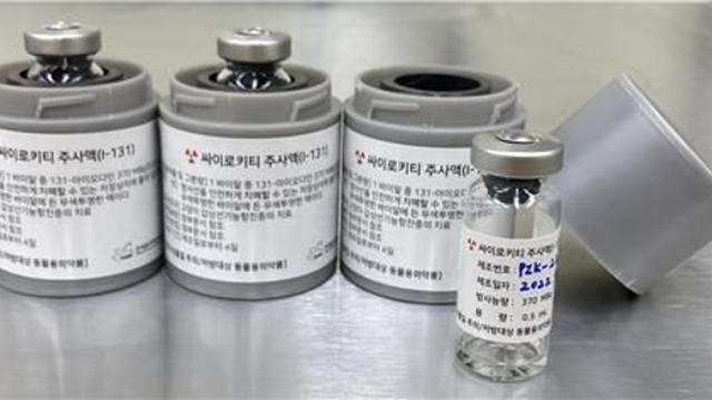 ‘주사 한 번으로 치료’…고양이 갑상샘항진증 치료제 나온다