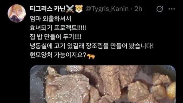 효녀가 되려했던 버튜버,,
