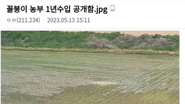 농사로 1년동안 3,200만원 번 청년