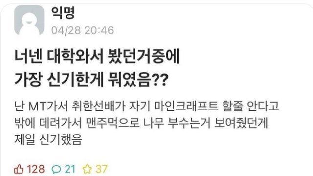 너넨 대학 와서 봤던 거 중에 가장 신기한 게 뭐였음??