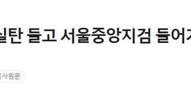 기관총 실탄 들고 서울중앙지검 들어가려던 20대 남성 체포