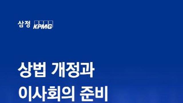 삼정KPMG “이사의 독립적 판단 및 운영 체계 투명성 등 검증 필요”