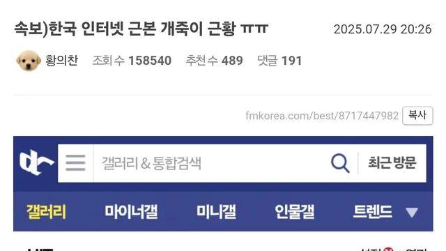 한국 인터넷 근본 개죽이 근황