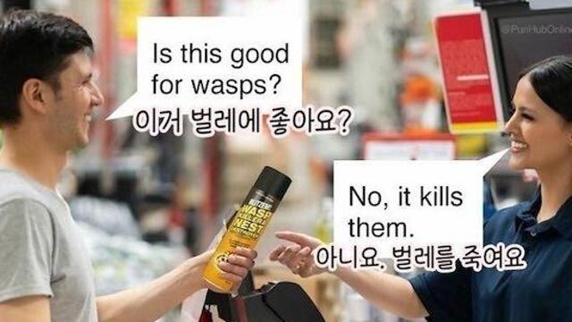 서쪽나라 조크를 모았다.