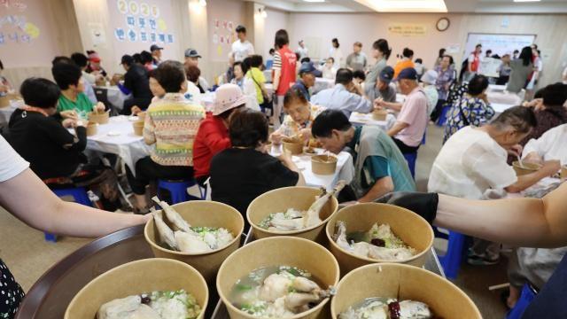 酷夏就是要喝参鸡汤