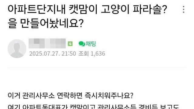 [스압] 캣맘 문제에 이해와 공감을 보이는 캣맘들의 아름다운 마음씨