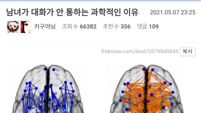 뇌 구조로 본 남,녀의 차이.