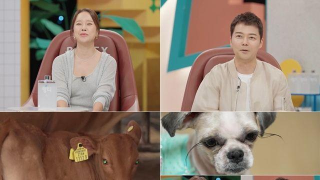 백지영 