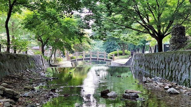 폭염 비켜! '음성' 계곡서 물놀이하고 호숫가 산책하며 힐링