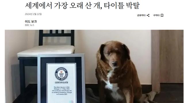 세계에서 가장 오래 산 개, 타이틀 박탈
