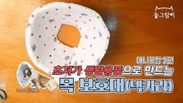 반려 동물의 넥카라.