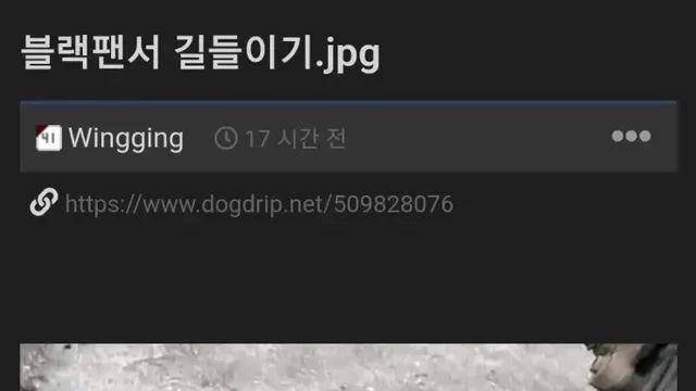블랙팬서 길들이기.jpg,,