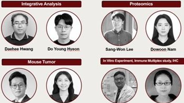 다중오믹스 분석 통해 자궁경부암 분자생물학적 특성 규명