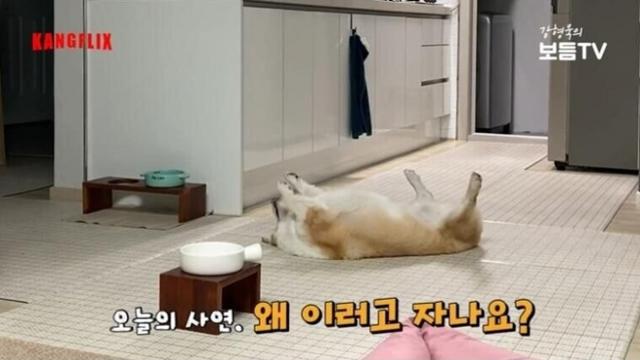 친근함의 표시가 다른 사람.