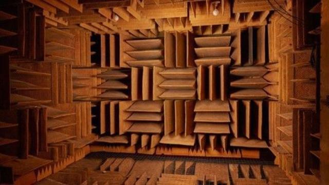 인간이 들을 수 없는 방 