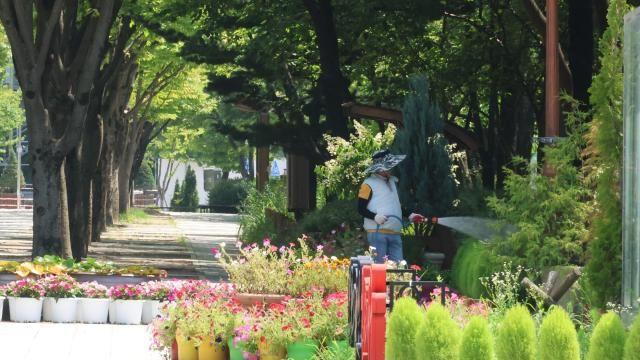 [내일 날씨] 최고체감온도 35도 안팍 무더위 계속…