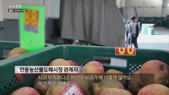 요즘 사과값이 비싼 이유