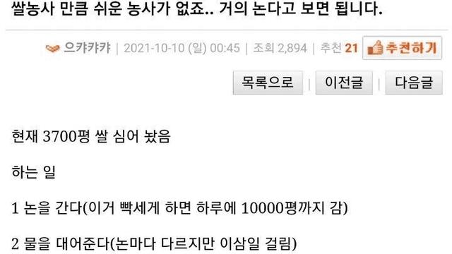 한국에서 쌀 농사 짓기