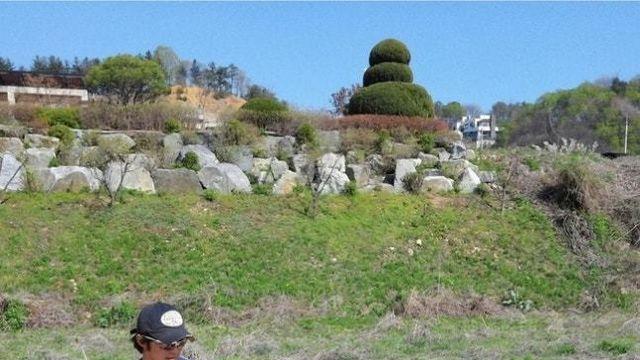 안재욱, 비보 전해…13년 함께 한 반려견과 이별