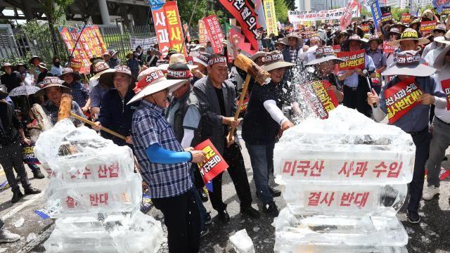 韩国果农集会反对政府开放进口美国产苹果