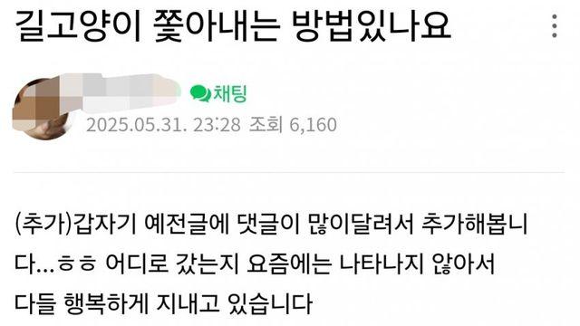 횐님덜의 선택적 동물사랑ㅜㅜ