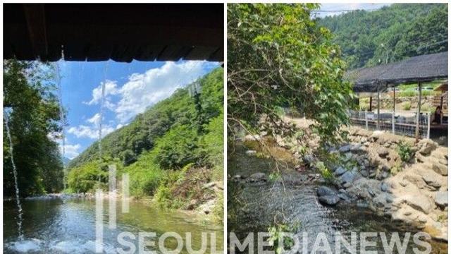 [현장 talk] 올 여름 휴가지 추천...'어비산 계곡' 맑은 물과 숲이 주는 힐링
