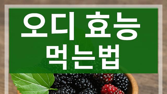 오디 효능 먹는법 혈관 눈 장 건강까지 달라진 이유