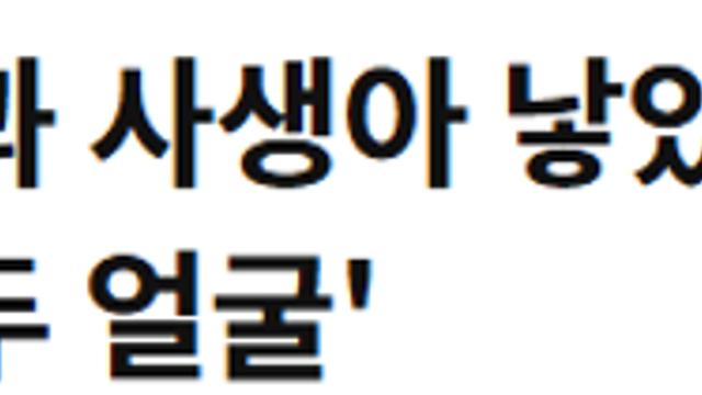 세상에 제일 유명한 절 소림사 근황