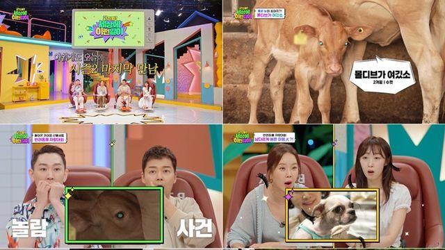 전현무 