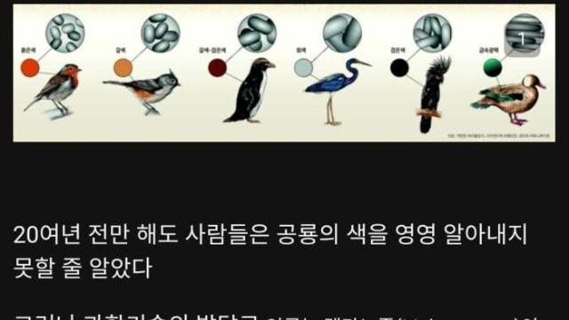 색깔이 밝혀진 공룡