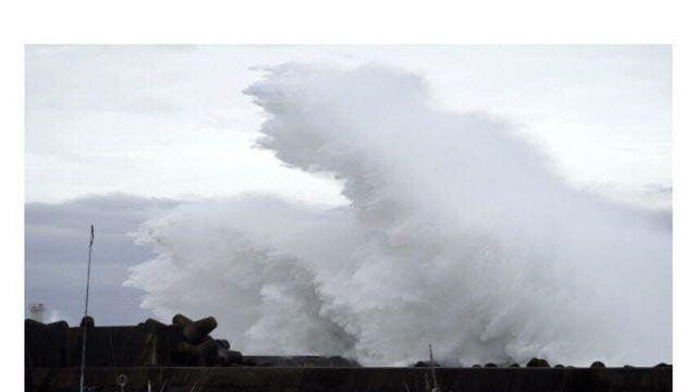 괴식으로 유명한 영국 정어리 파이
