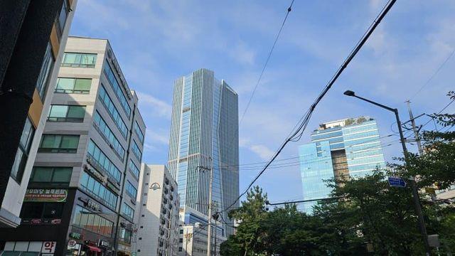 넷마블 1인 시위 다녀옴