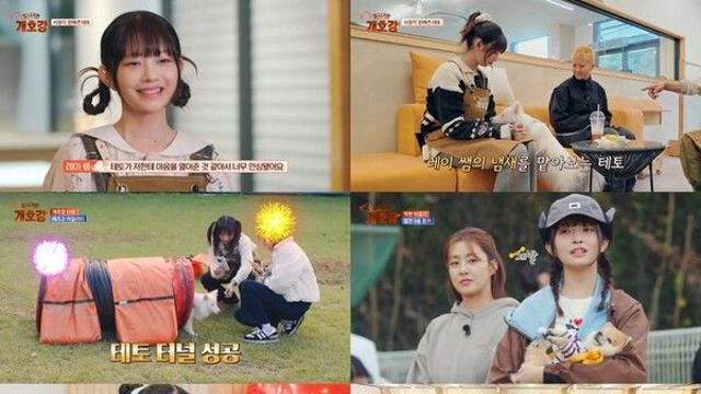 '첫 고정 예능 종영' 아이브 레이 
